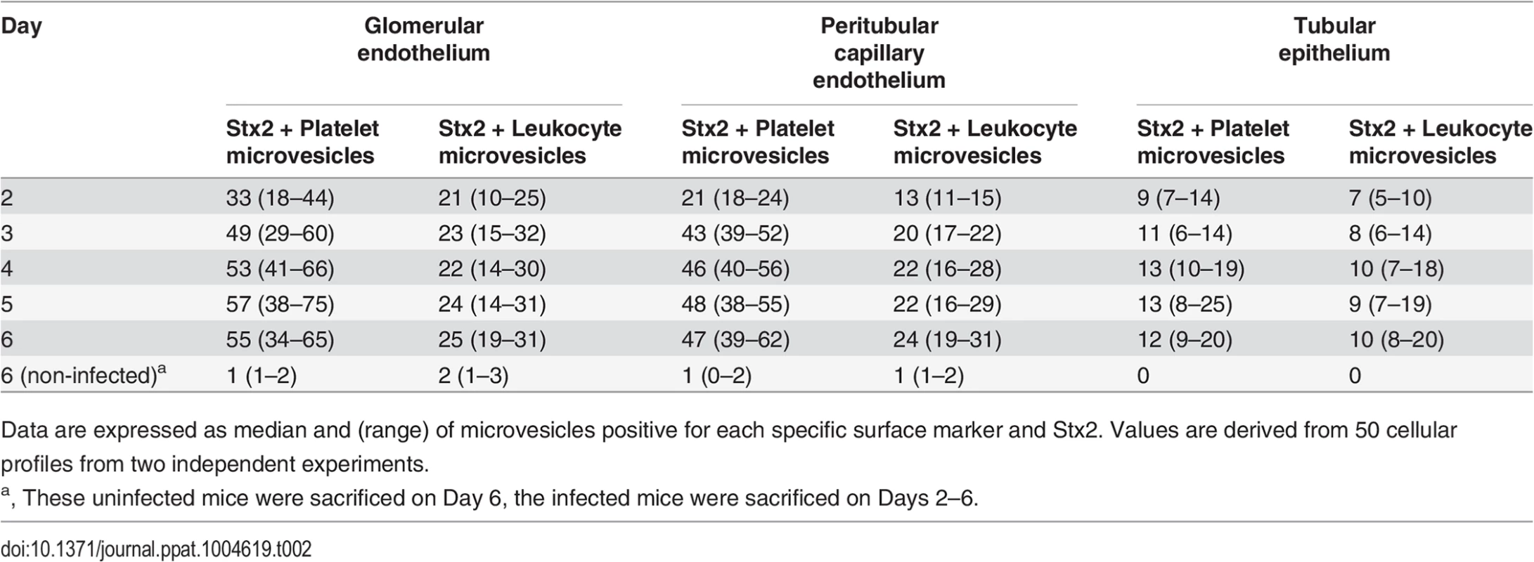 Numbers and cellular origin of Stx-positive microvesicles in mice infected with <i>E. coli</i> O157:H7.