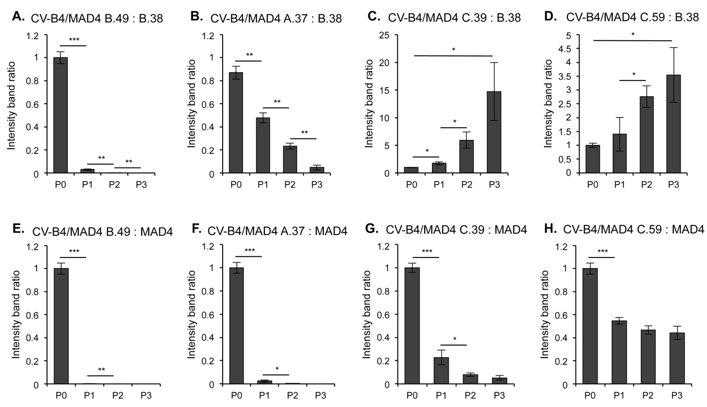 Competition assays comparing the relative fitness of homologous and nonhomologous recombinants.