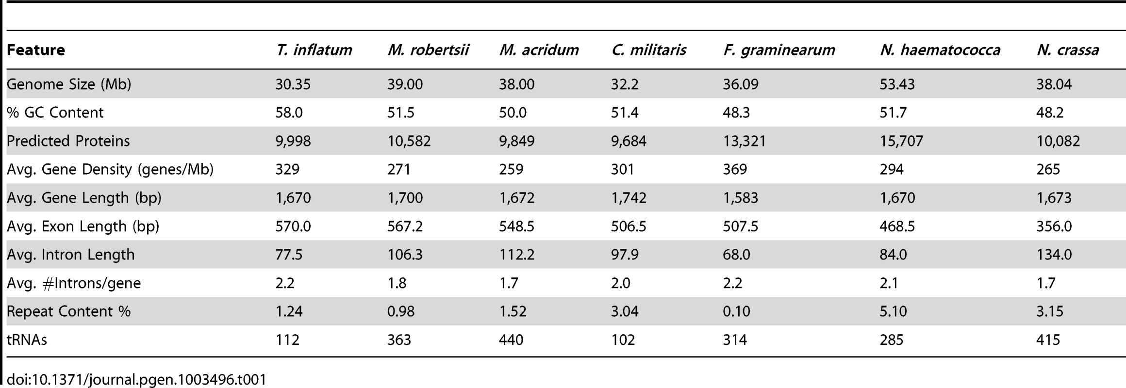 Comparison of genome features with closely related ascomycetes.