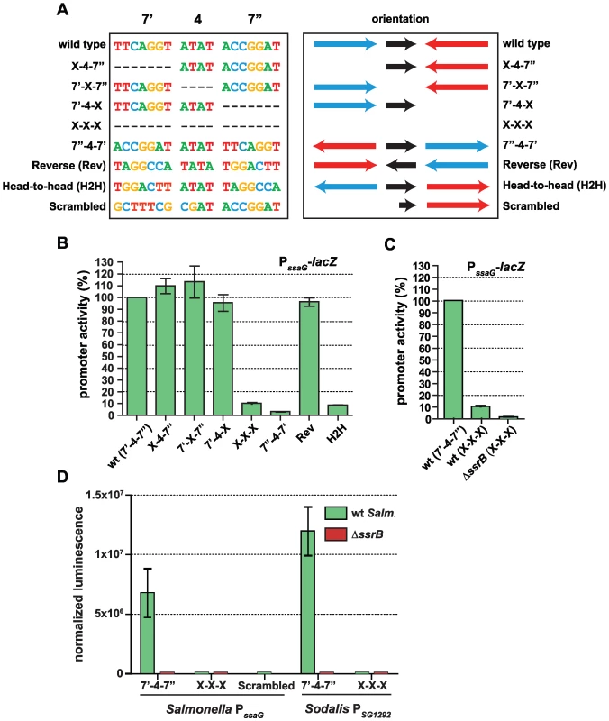The SsrB binding motif architecture is flexible and conserved in <i>Sodalis</i>.