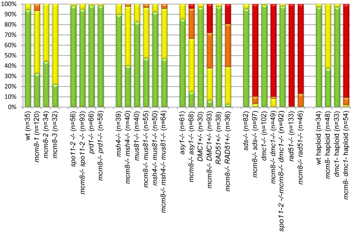 Quantification of chromosome fragmentation levels.
