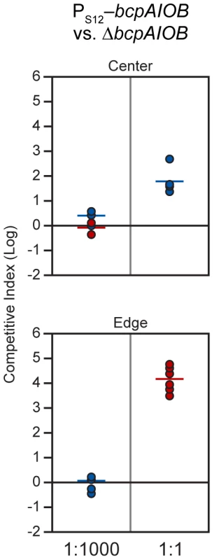 P<sub>S12</sub>-<i>bcpAIOB</i>-mediated contact dependent growth inhibition.