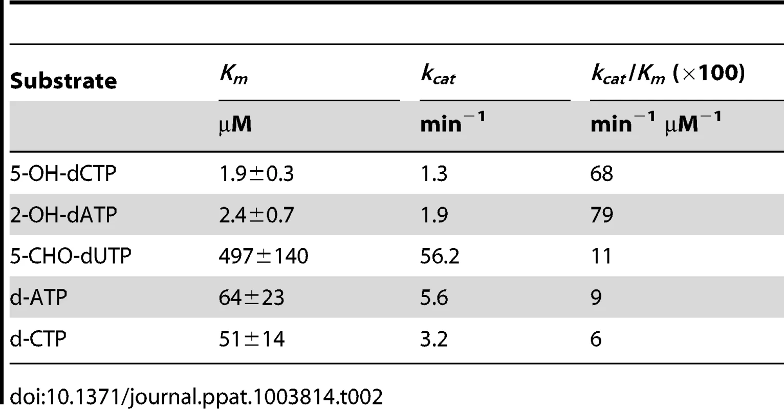 Kinetic constants of <i>Mtb</i> MazG.