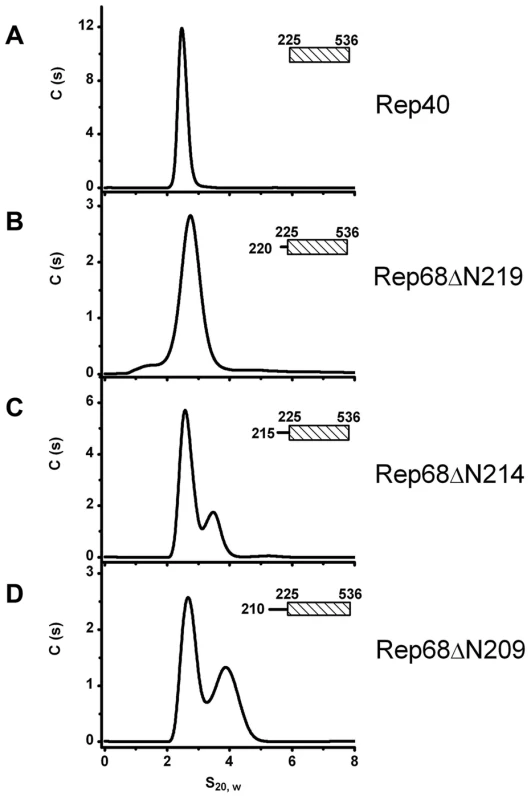 Minimum linker length requirements to induce oligomerization.