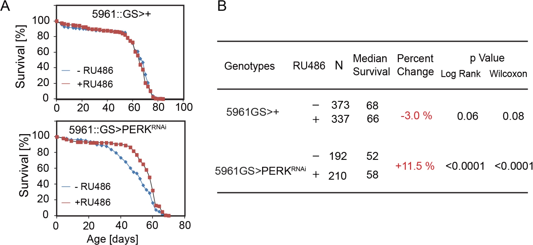 Knockdown of PERK in ISCs extends lifespan in flies.