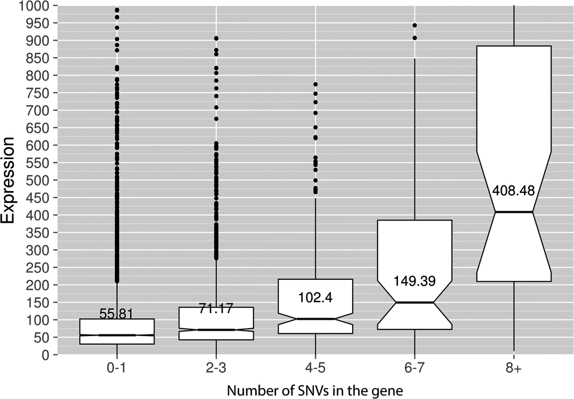 Genes with incrementing mutational load are expressed at increasingly higher levels.