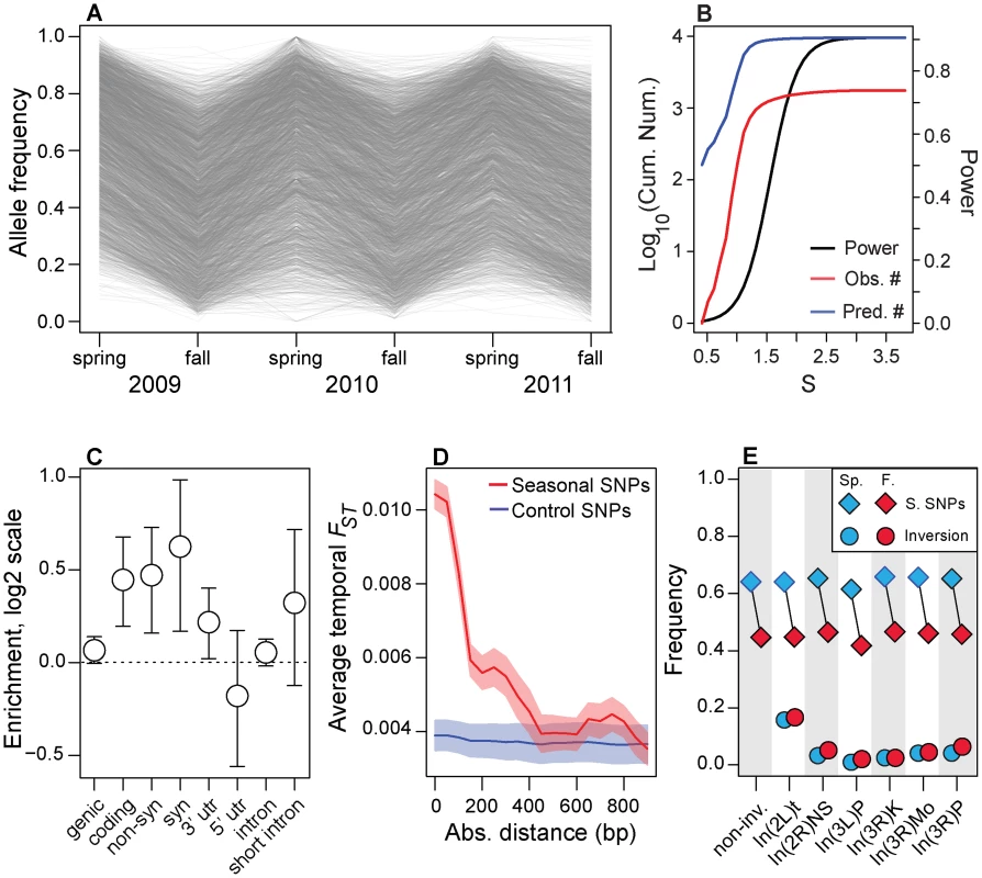 Genomic features of seasonal SNPs.