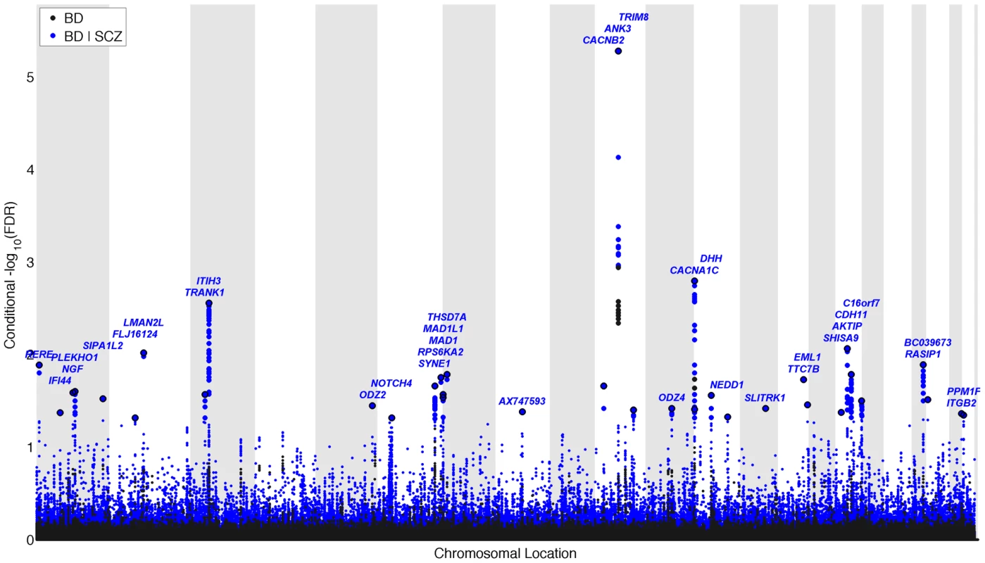 “Conditional Manhattan plot” of conditional −log<sub>10</sub> (FDR) values for Bipolar disorder (BD) alone (black) and BD given schizophrenia (SCZ; BD|SCZ, blue).