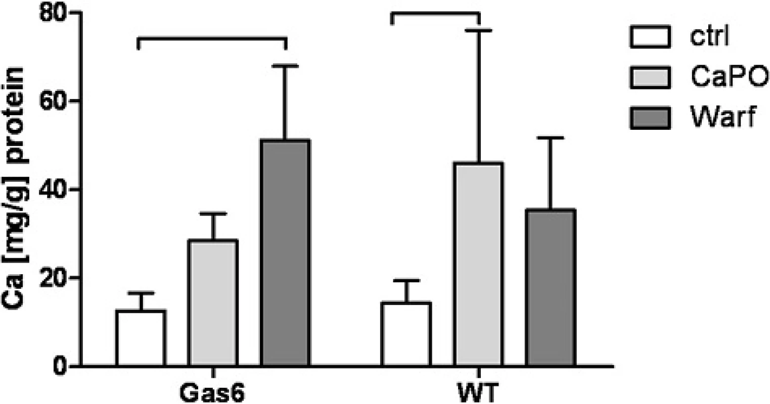 Calcium deposition a) Ca<sup>2+</sup> deposition in VSMC isolated from WT and Gas6<sup>-/-</sup> mice after treatment with calcium phosphate and warfarin over 5 days; mean ± SD. *: <i>p</i> < 0.05; **: <i>p</i> < 0.001