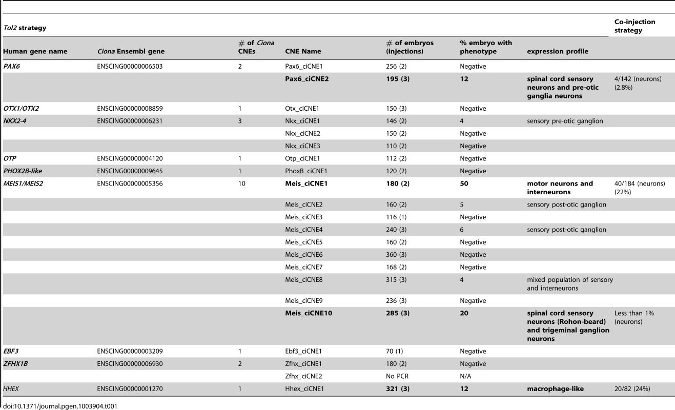 Summary of GFP reporter expression driven by ciCNEs at 48<i>Tol2</i> and co-injection strategies in zebrafish embryos.