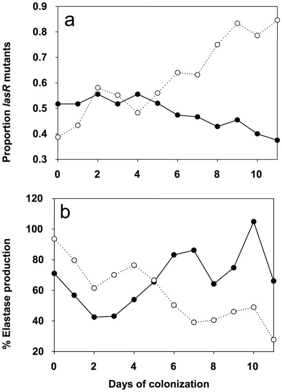 Evolution of <i>lasR</i> mutants and elastase production in azithromycin-treated and untreated patients.