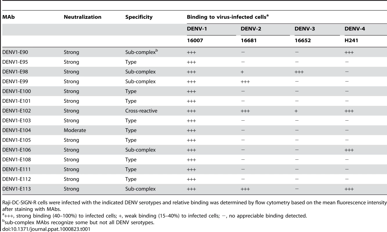Binding of MAbs to cells infected with other DENV serotypes.