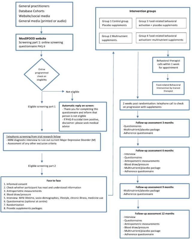 MoodFood participants flow-chart