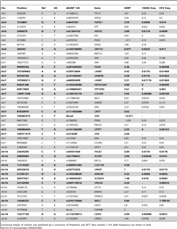 Putative damaging exonic variants found in the five linkage regions.