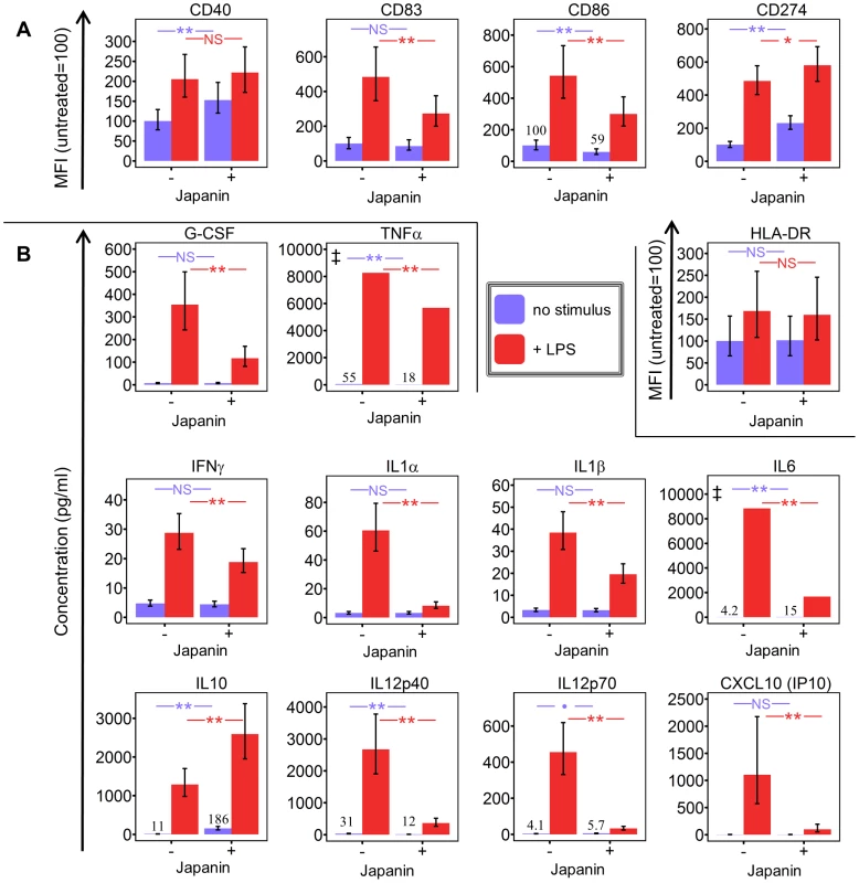 Japanin modulates dendritic cell maturation, rather than simply inhibiting it.