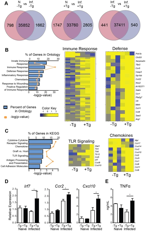 hResistin promotes type 1 inflammation, TLR signaling and chemokines.