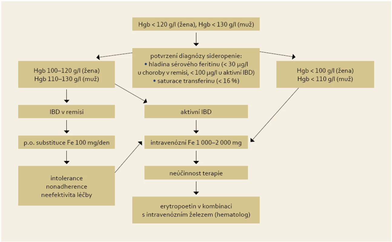 Doporučení pro substituční léčbu sideropenní anémie u IBD pacentů.
Fig. 2. Recommendation for iron supplementation in IBD patients with iron deficiency anaemia.