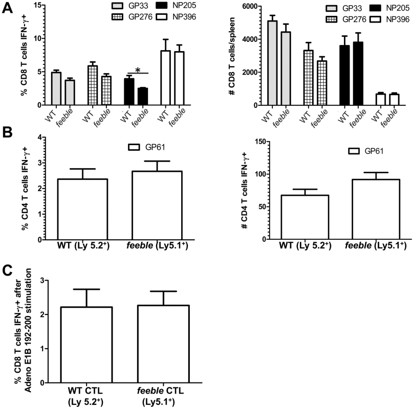Defect in antigen specific <i>feeble</i> T cell responses is extrinsic.