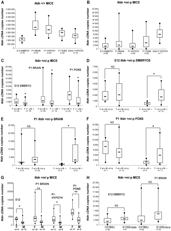 <i>Ndn</i> expression analyzed by RT-qPCR in <i>Ndn+m/−p</i> mice.