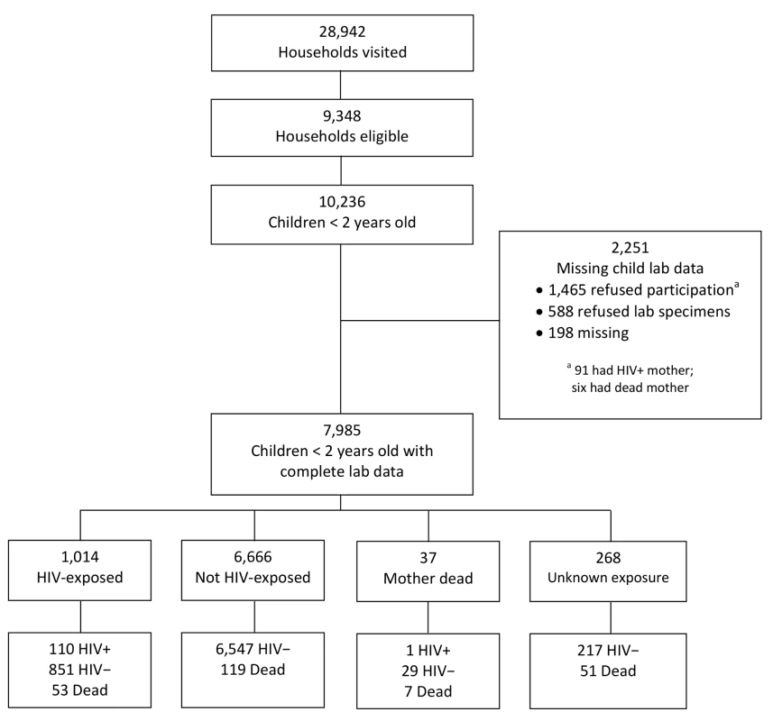 Description of the cohort of children born in the previous 2 y (<i>n</i> = 10,236) from all eligible households (<i>n</i> = 9,348) visited from May 2008 to May 2009.