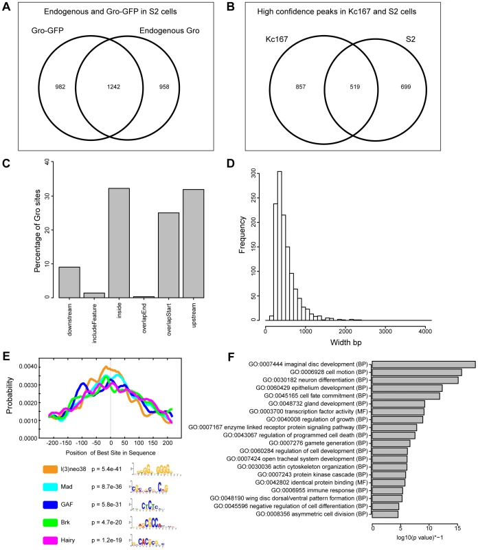 Characterization of Gro recruitment in S2 cells.