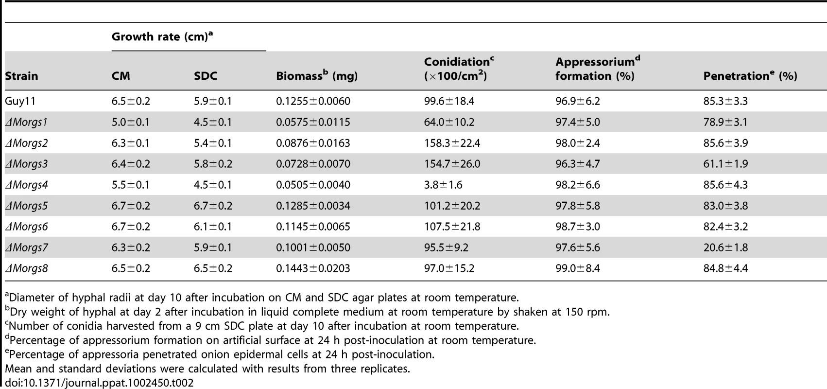 Comparison of mycological characteristics among strains.