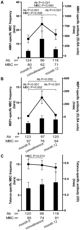 Longitudinal analysis of the <i>Pf</i>- and TT-specific MBC and antibody response.