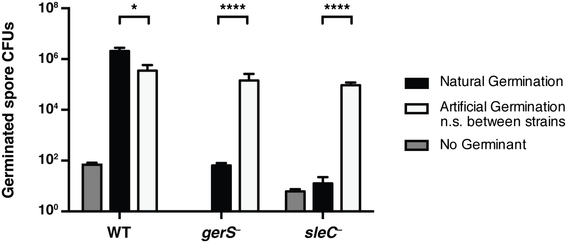 Artificial germination of <i>gerS</i><sup>−</sup> bypasses its germination defect.