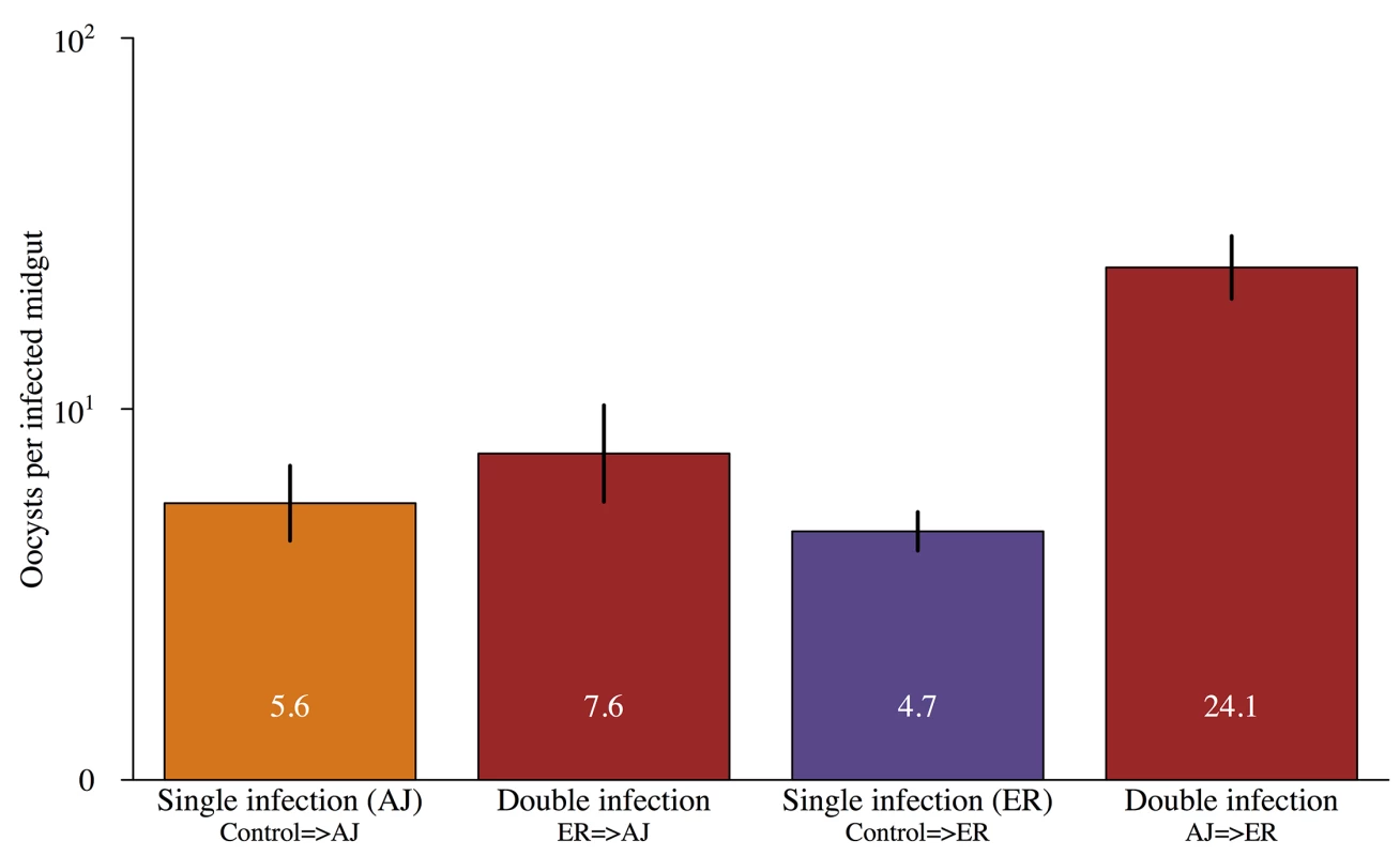 Oocyst loads in mosquitoes infected with parasites from single and multiple feeds.