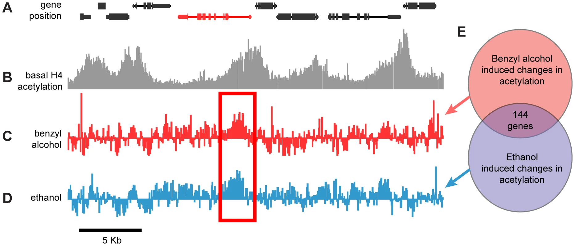 Genome-wide, drug-induced changes in H4 acetylation.