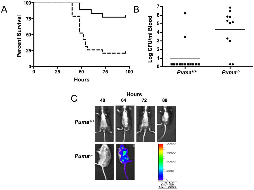 Puma-deficient mice are sensitive to pneumococcal lung infections.