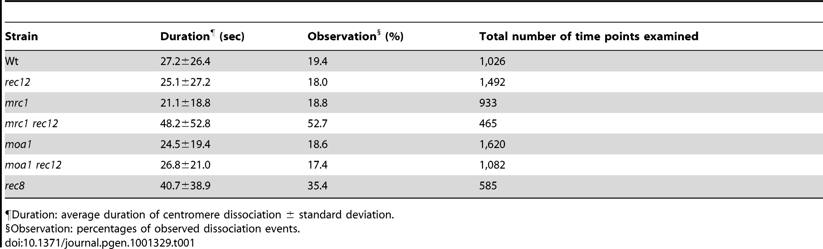 Centromere dissociation during the pre-anaphase stage of meiosis I in various fission yeast strains.