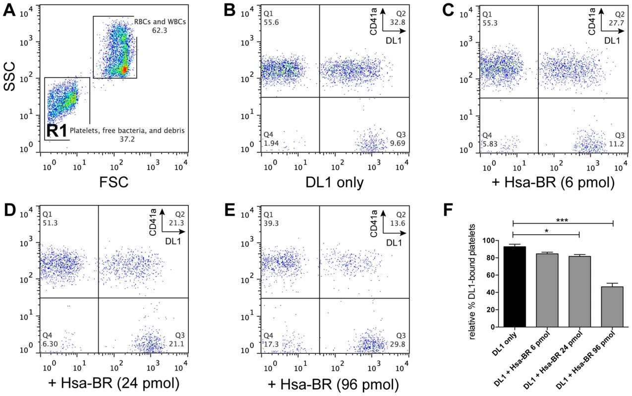 Blocking of DL1-platelet binding by Hsa-BR in whole human blood.