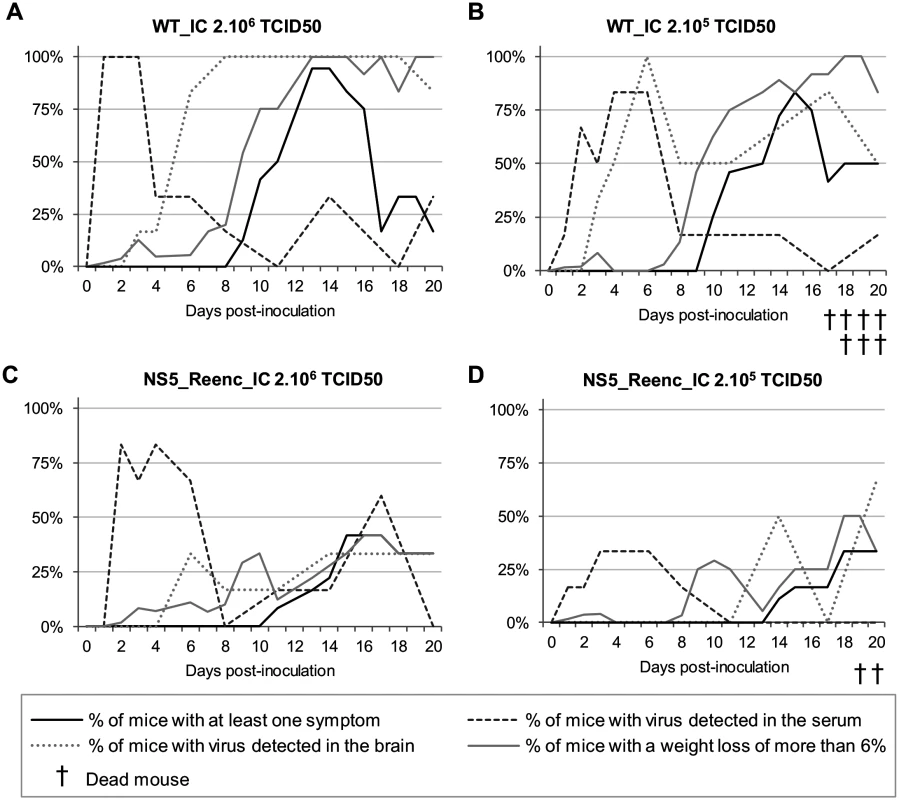 Time distribution of the proportion of mice with at least one symptom, with a weight loss of more than 6% and with virus detected in the serum or in the brain by qRT-PCR.