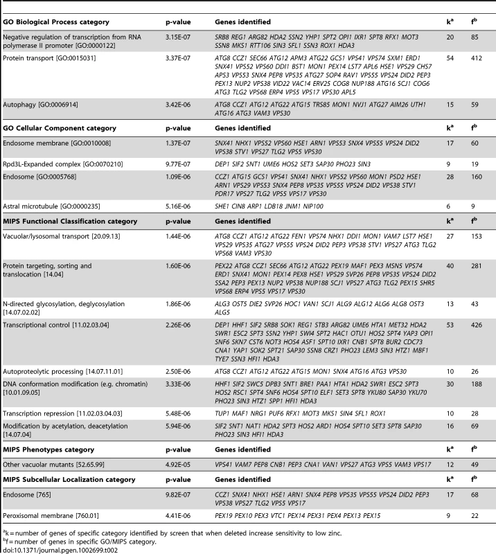 Enrichment among low zinc-sensitive mutants by biological process, cellular component, functional classification, and subcellular localization.