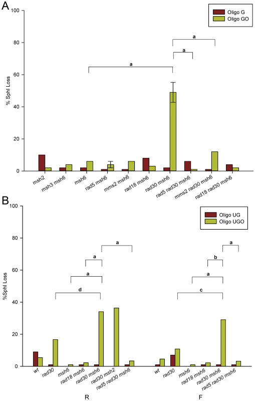 Template switching induced by 8-oxoG.