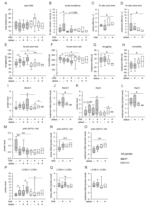 FKBP51 is required for the chronic effects of PAR on behavior and autophagic pathways.