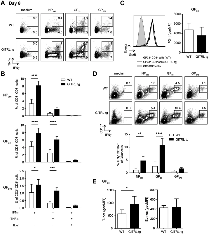 Virus-specific CD8<sup>+</sup> T cells are more polyfunctional in GITRL tg mice.