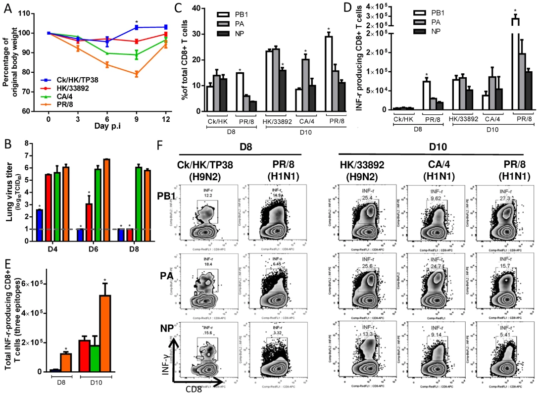 The disease course and primary CTL responses in naive mice after infection with one of two H9N2 or two H1N1 IAVs.