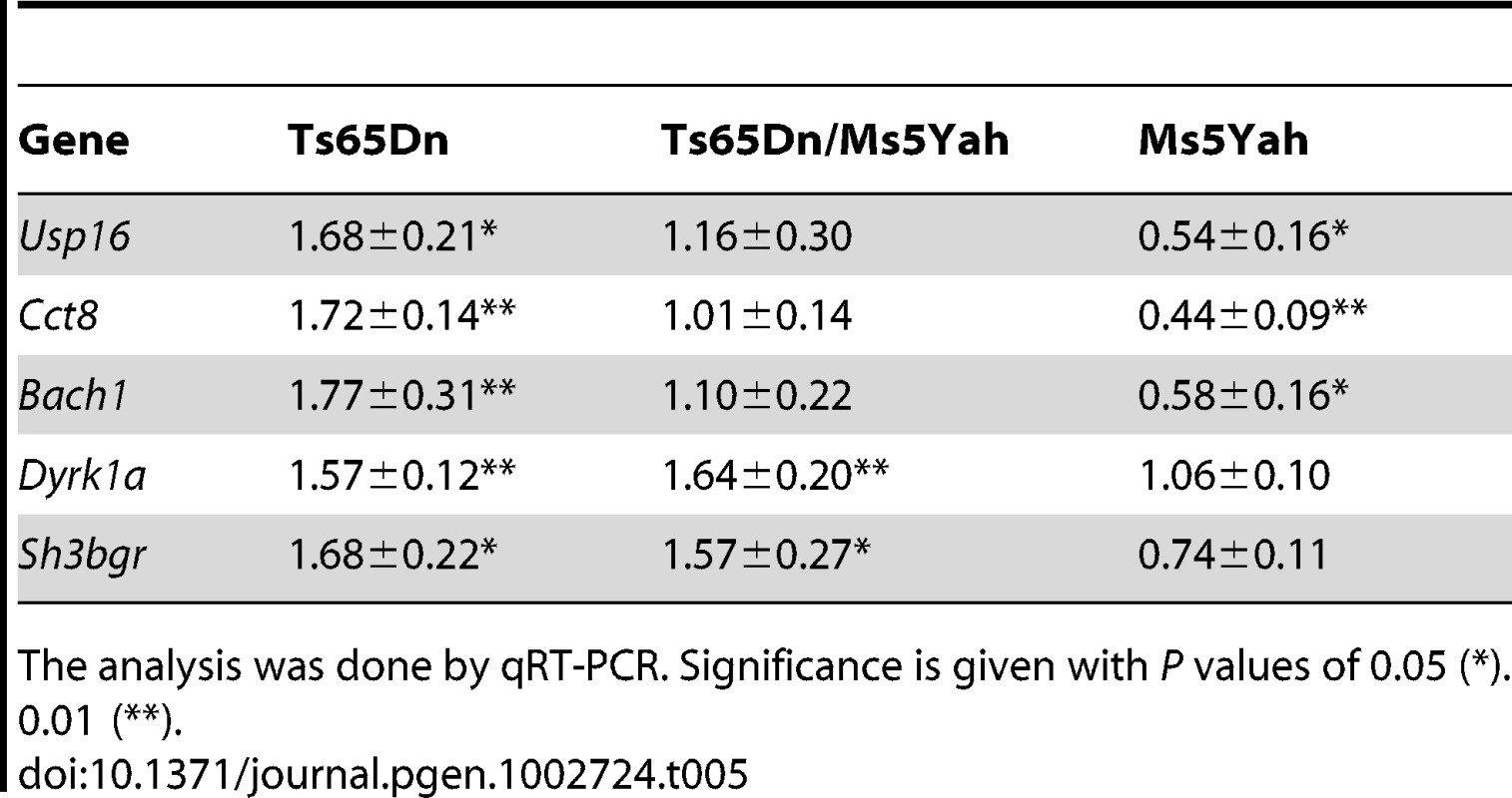 Ratio of the expression level of 5 genes located on Mmu16 in the heart of mutant compared to disomic control mice.