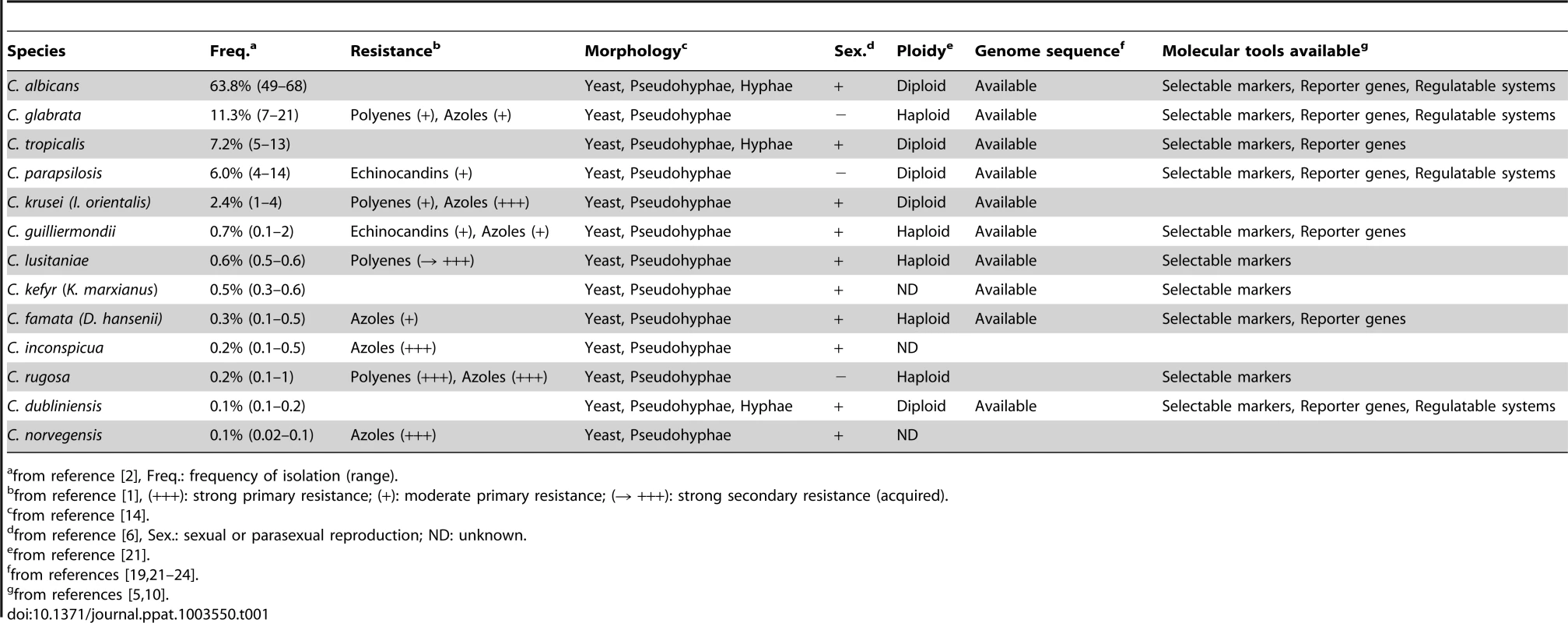 Introducing characteristics of Candida species.