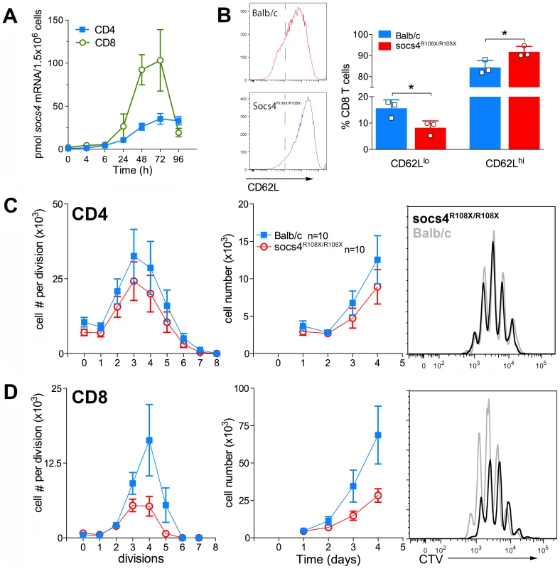 Defective TCR responses in <i>Socs4<sup>R108X/R108X</sup></i> CD8 T cells.