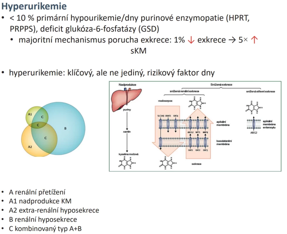 Faktory ovlivňující vznik hyperurikemie (dle Dalbeth et al. Klasifikace a mechanismy hyperurikemie 2016 a 2019)