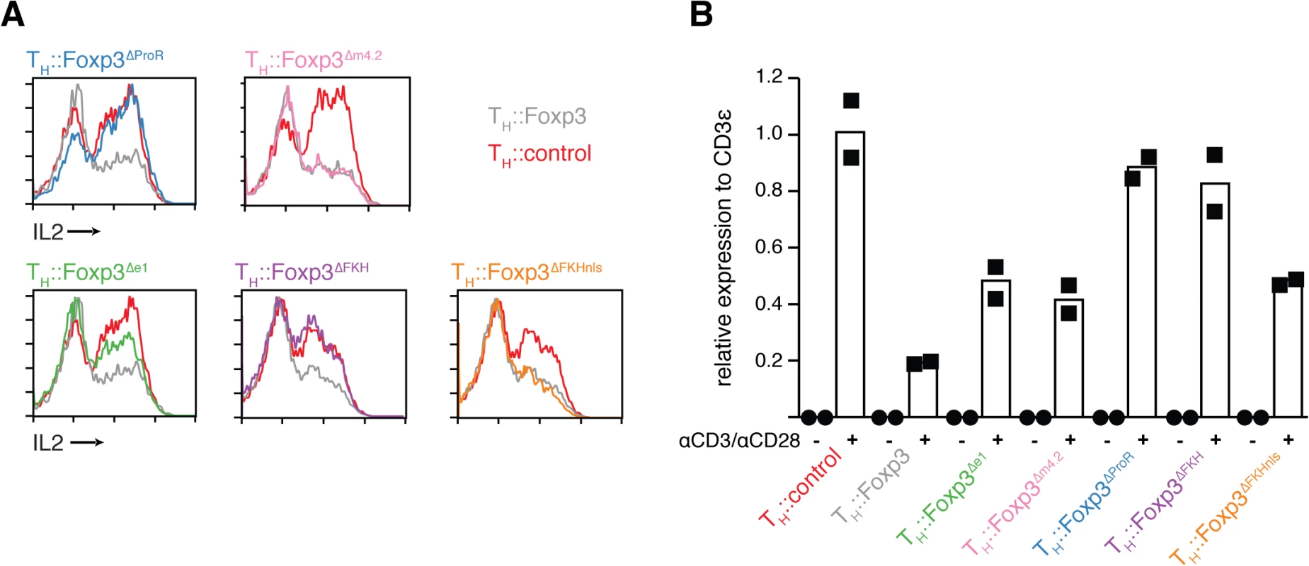 ProR-dependent, FKH-independent regulation of IL-2 upon activation.