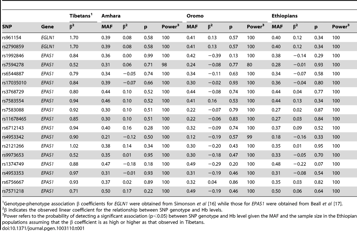 Association test of Tibetan <i>EGLN1</i> and <i>EPAS1</i> SNPs within Amhara, Oromo, and combined Ethiopians.