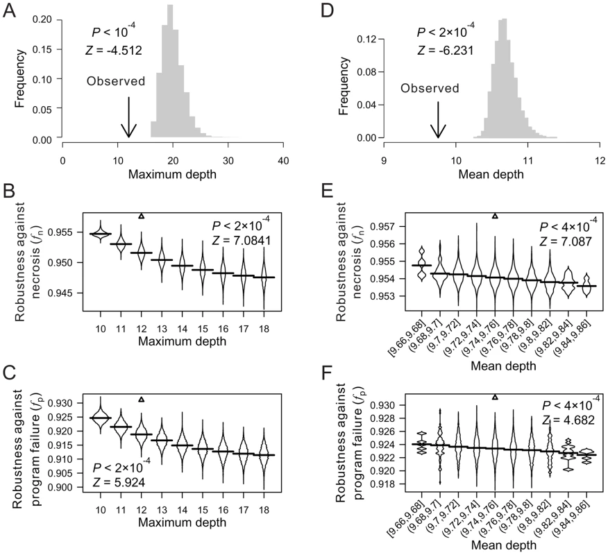 Low depths of terminal cells improve the robustness of the <i>C. elegans</i> lineage to necrosis and program failure.