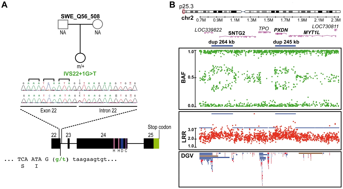 Genetic alterations identified in the control subject SWE_Q56_508.