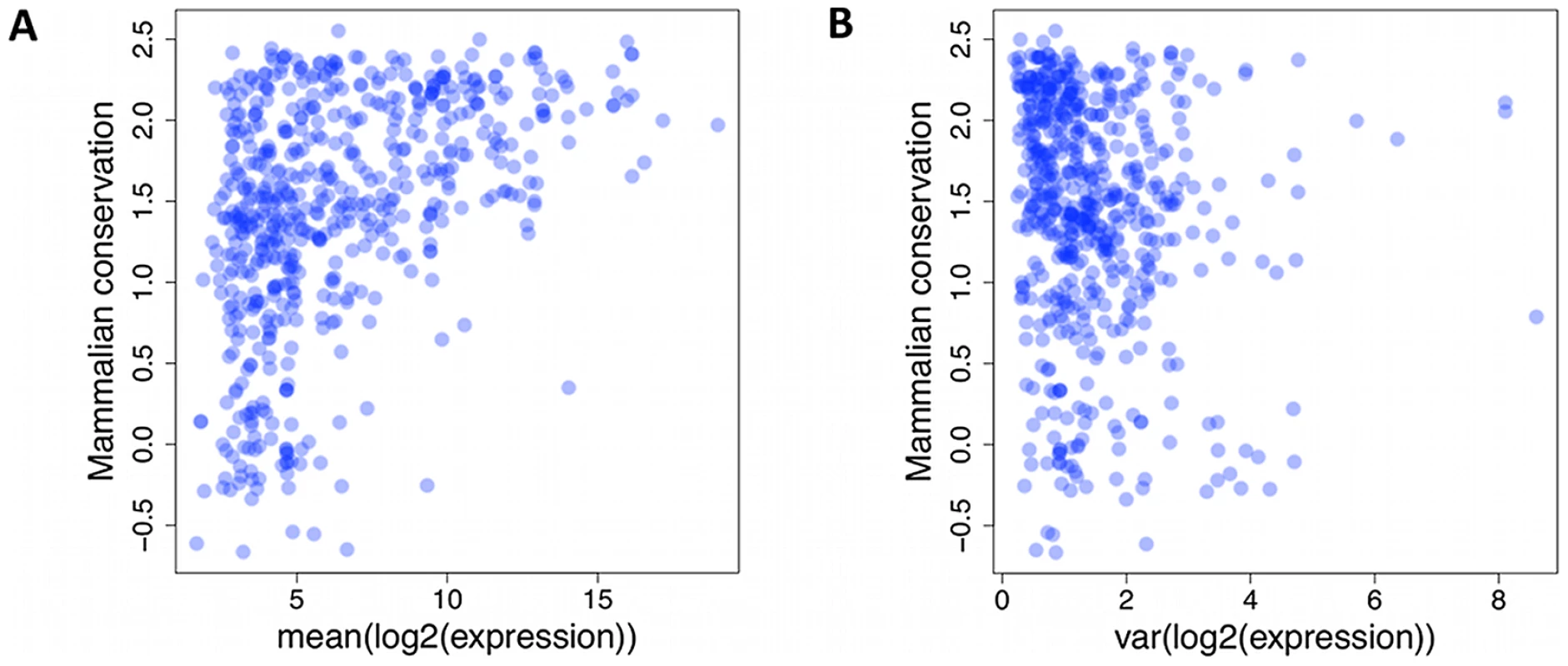 Lack of small RNAs.