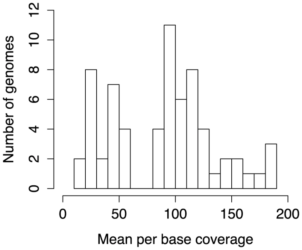 Sequencing depth of newly sequenced haloarchaeal genomes.