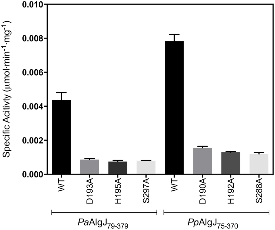 Specific activities of wild-type and catalytic triad mutants of <i>Pp</i>AlgJ<sub>75–370</sub> and <i>Pa</i>AlgJ<sub>79–379</sub>.